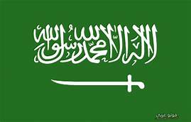 عالية يحيى مدخلي